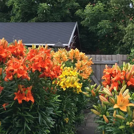 Skagen Hytte Casa vacanze